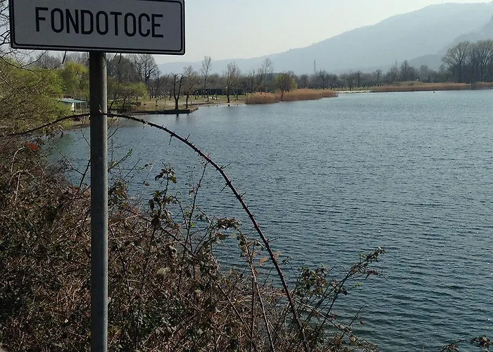 The Divine 베르바니아